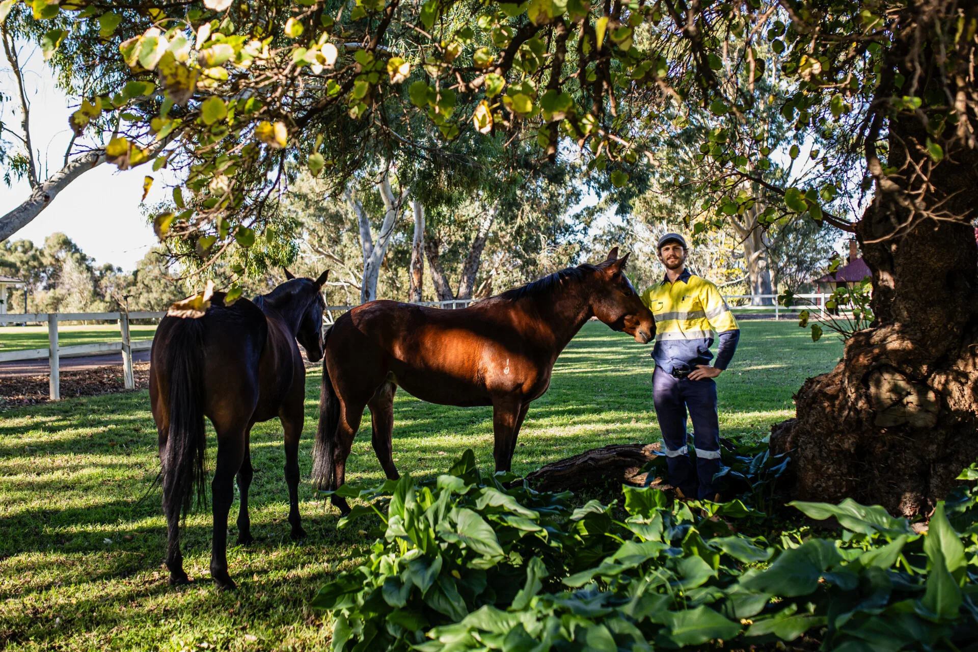 A men with two horses