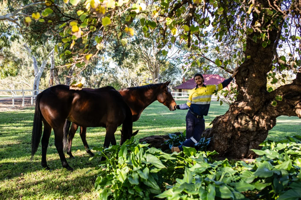 a man standing next to a horse