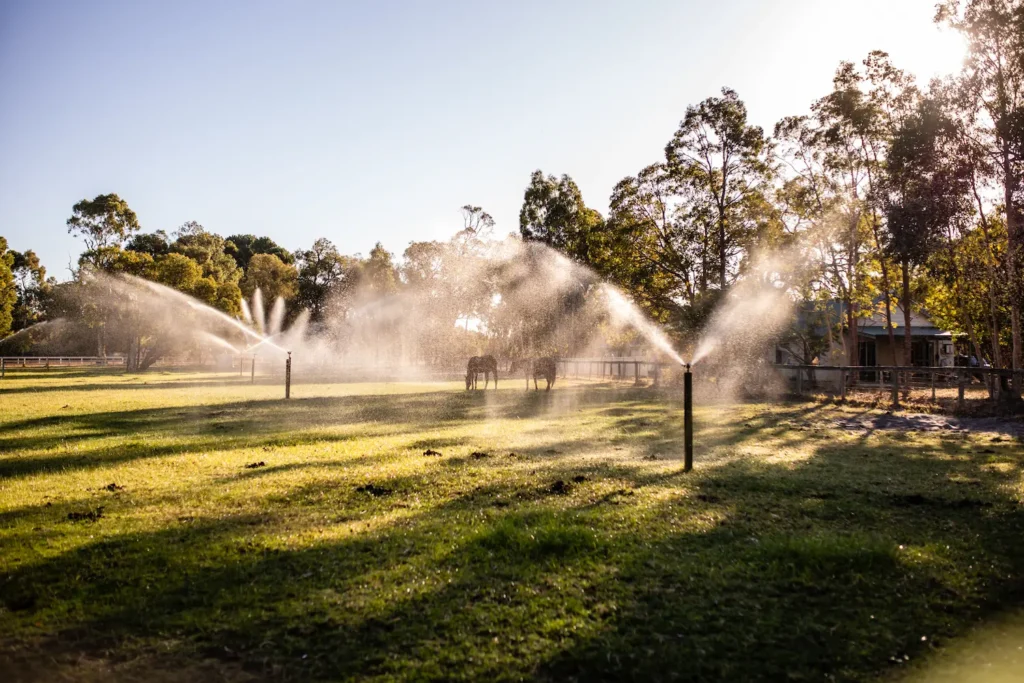 Horse grazing near sprinklers - Irrigation Pumps Installation